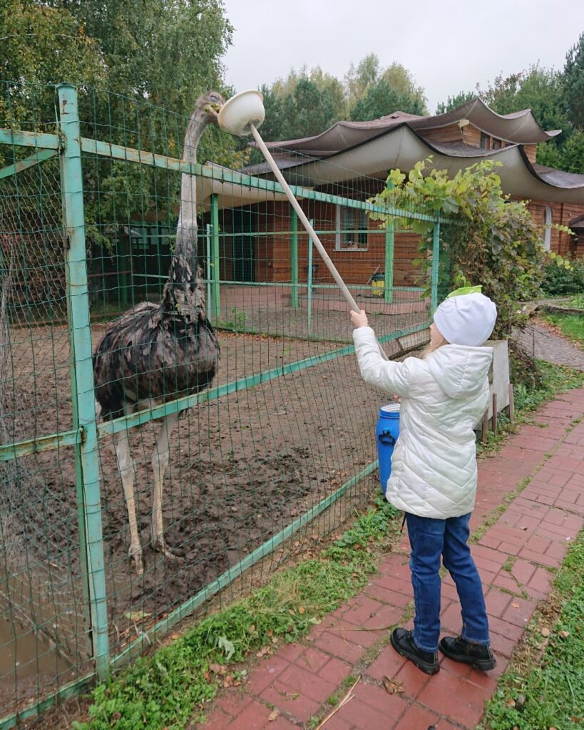 Детский отдых на природе в Подмосковье - Мини ферма Страус